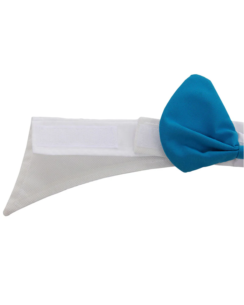 Alice in Wonderland Mad Hatter Hat with Hair and Collar Deluxe Set - Image 6