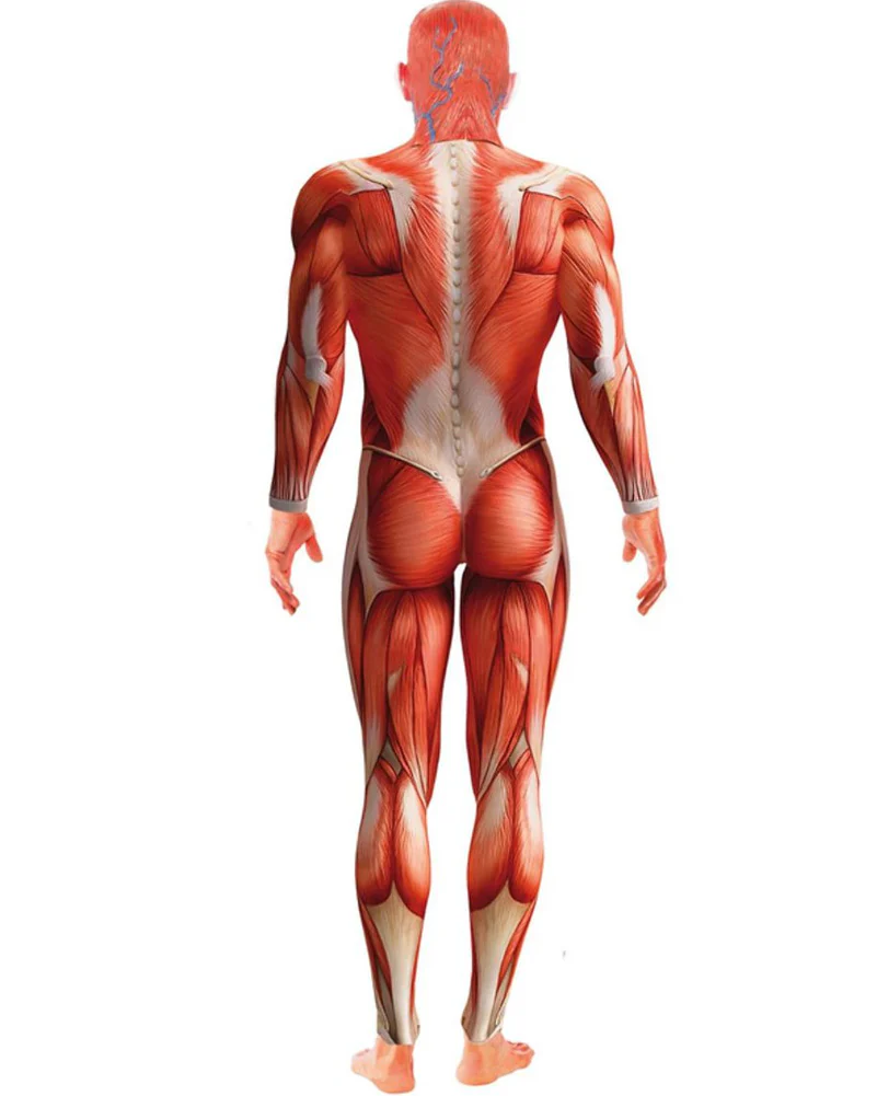 Anatomy Man Mens Costume - Image 2