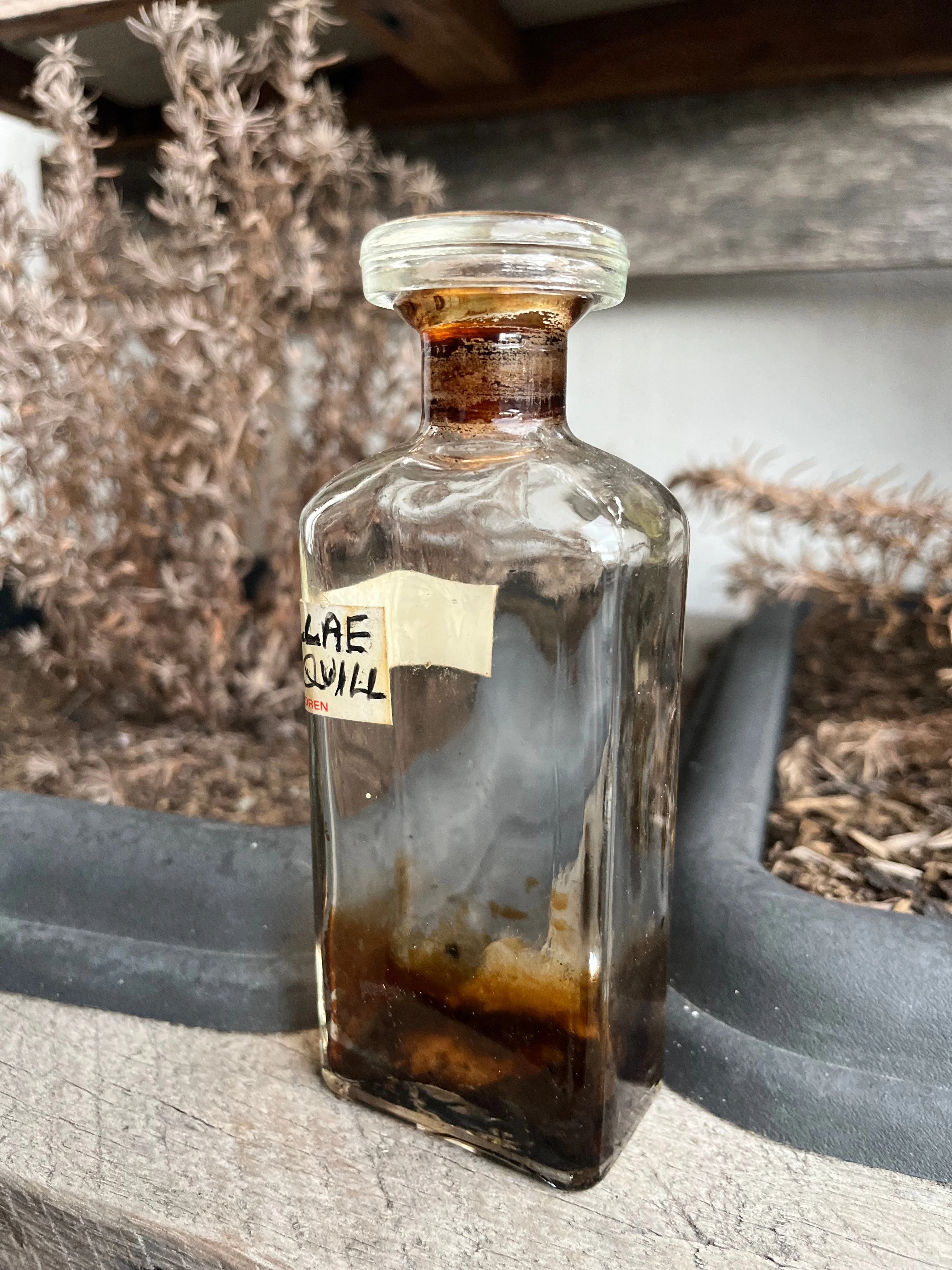 Antique 1890s Acetum Scillae Vinegar of Squill Apothecary Bottle - Image 2