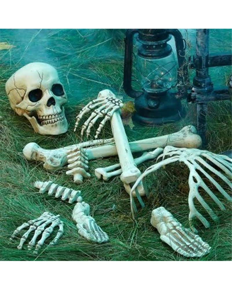 Bag Of Bones - Image 2