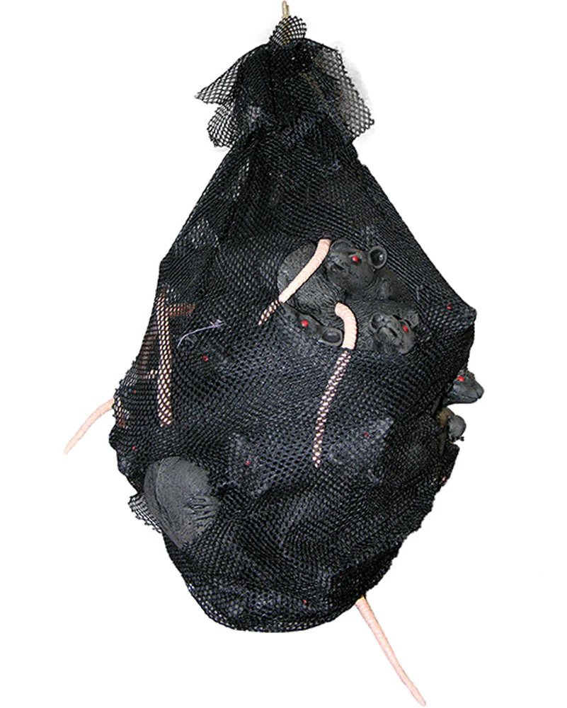 Bag of Rats