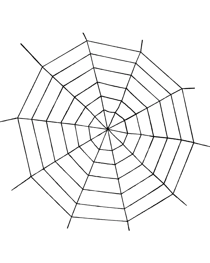 Black Widow Rope Spider Web 1.5m - Image 2