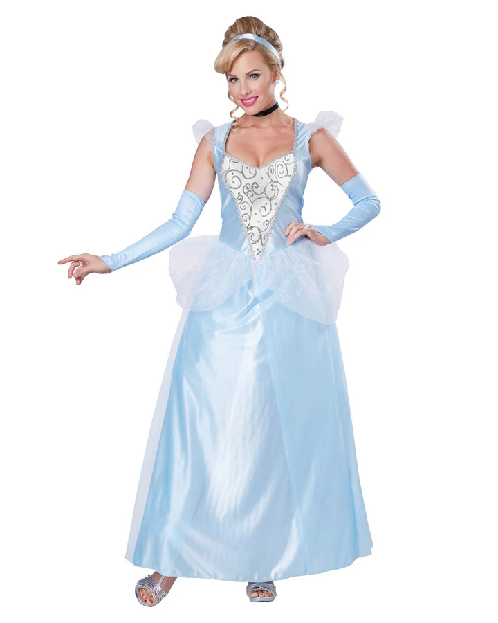 Classic Cinderella Womens Book Week Costume