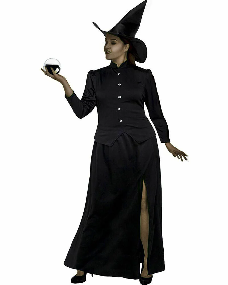 Classic Wicked Witch Plus Size Womens Book Week Costume