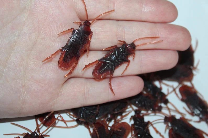 Cockroaches Prop - Image 6