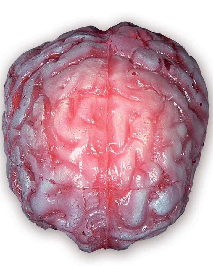 Colour Changing Realistic Brain