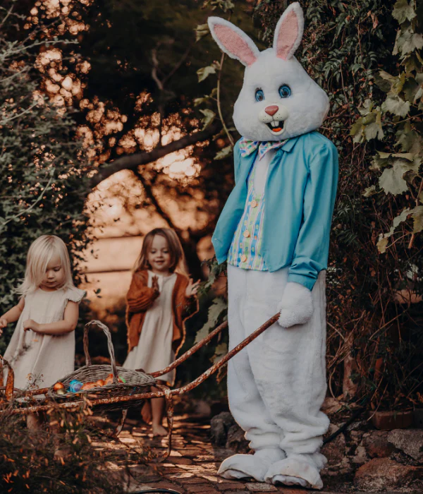 Deluxe Easter Bunny Adult Plus Size Costume - Image 7