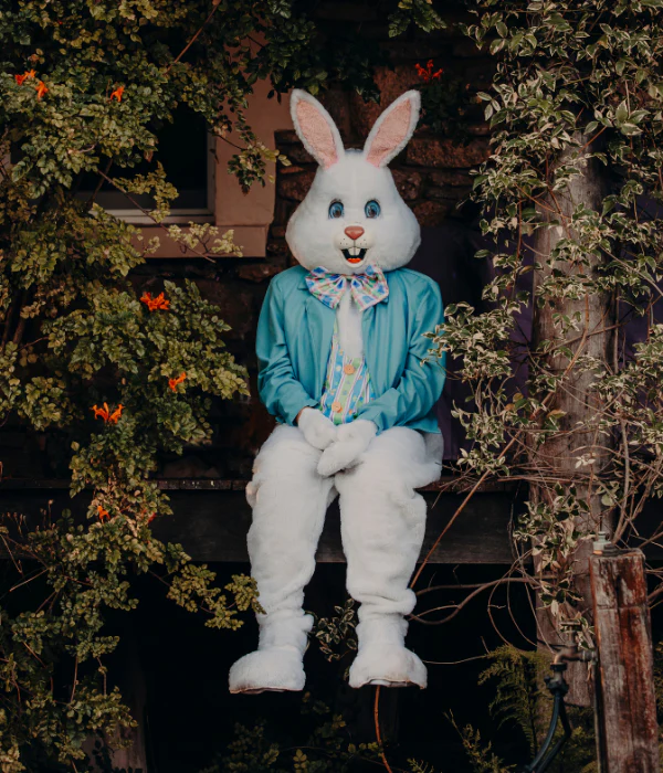 Deluxe Easter Bunny Adult Plus Size Costume - Image 8