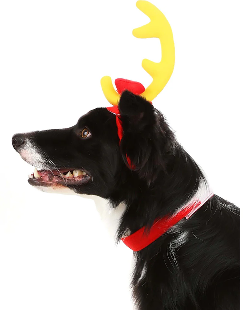 Dr Seuss The Grinch Max Pets Headband and Collar - Image 2