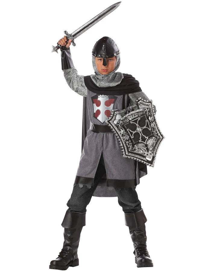Dragon Slayer Boys Book Week Costume
