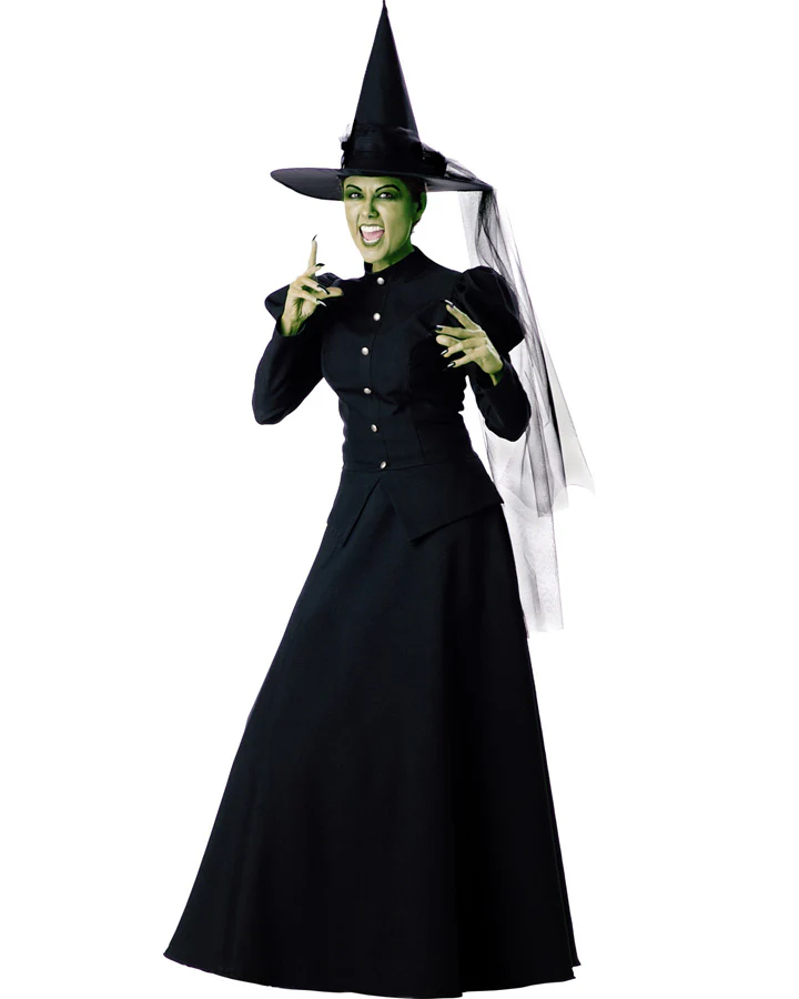 Elite Wicked Witch Womens Book Week Costume