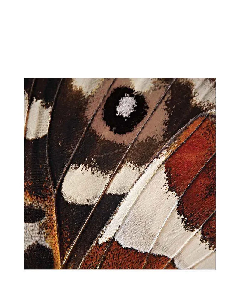 Entomount Wing Lunch Napkins Pack of 16 - Image 2