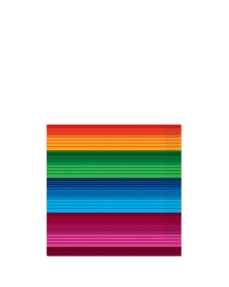 Mexican Serape Beverage Napkins Pack of 16