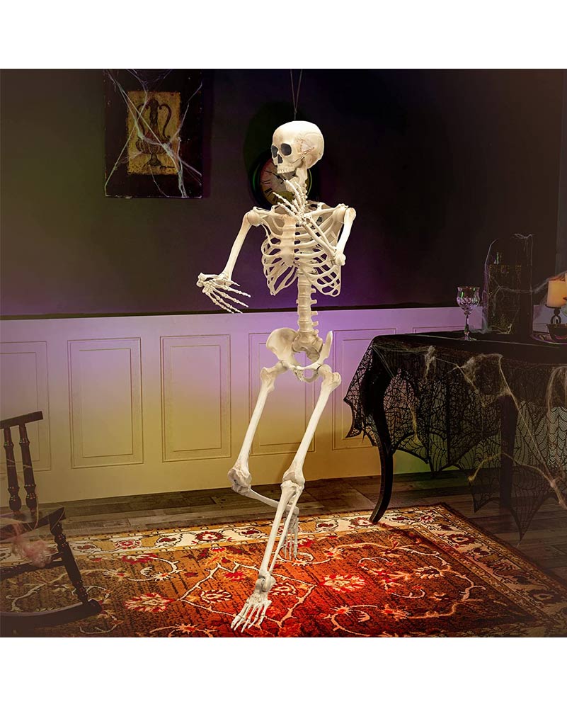 Full Body Plastic Skeleton with moveable joints 1.5m - Image 3