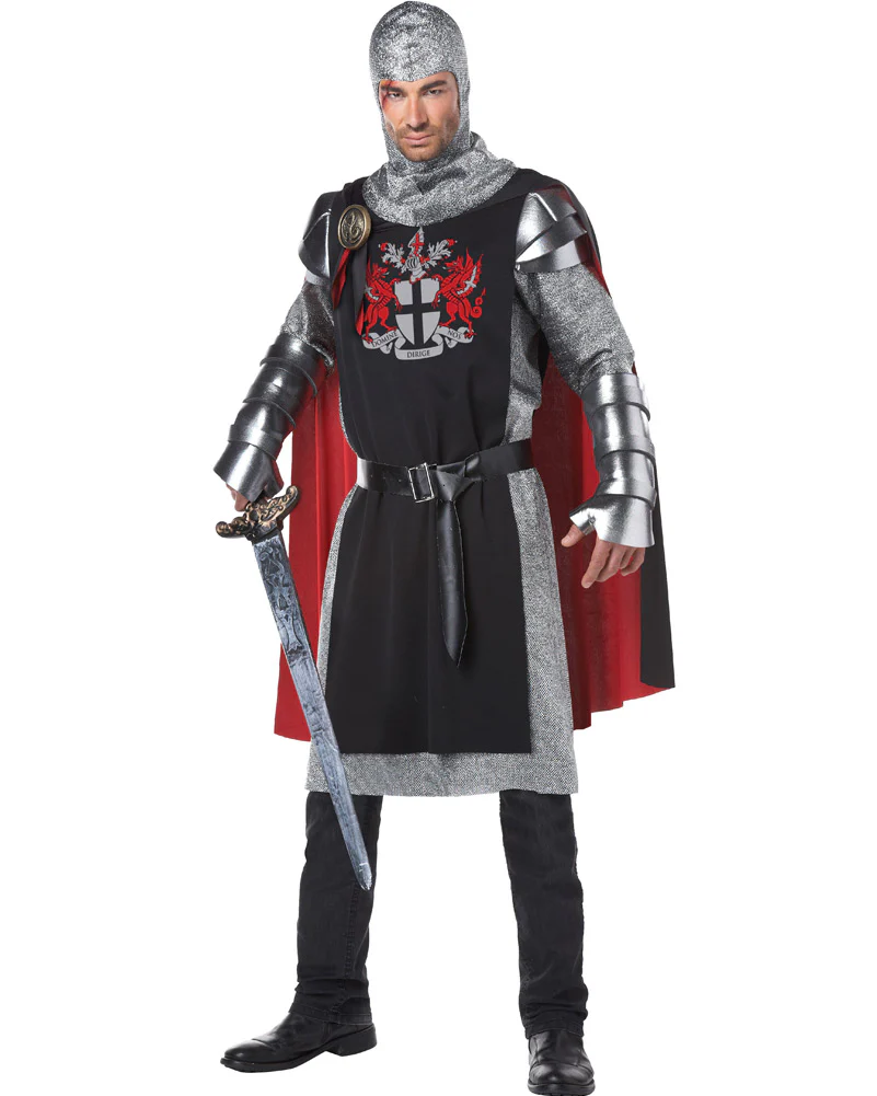 Gallant Medieval Knight Mens Book Week Costume