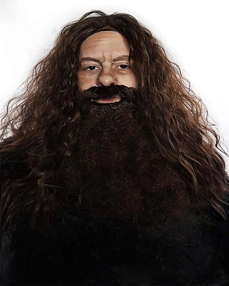 Gamekeeper Premium Long Brown Wavy Wig and Beard - Image 2