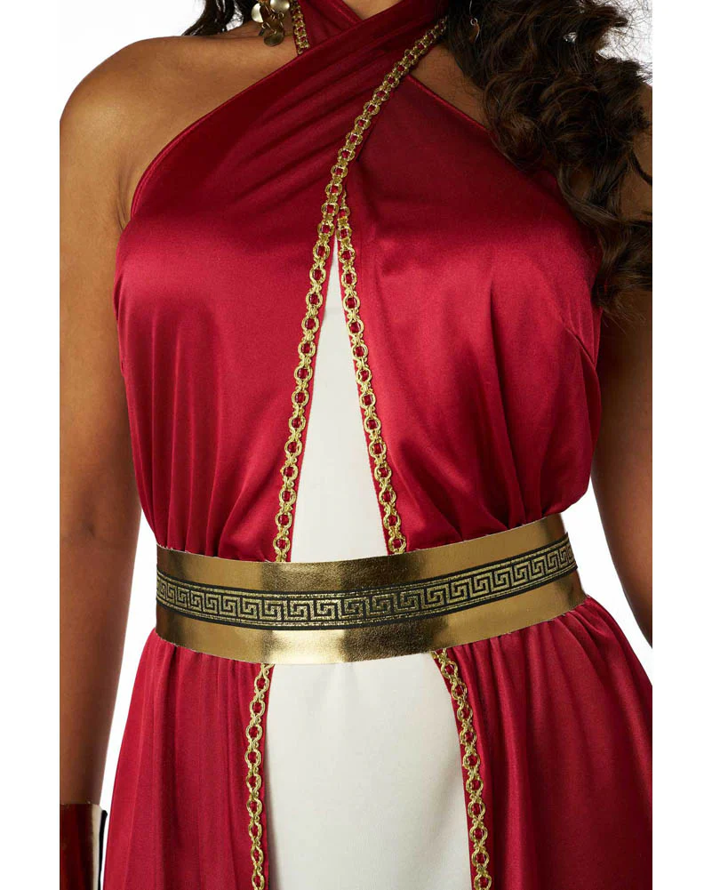 Grecian Wine Princess Womens Costume - Image 5