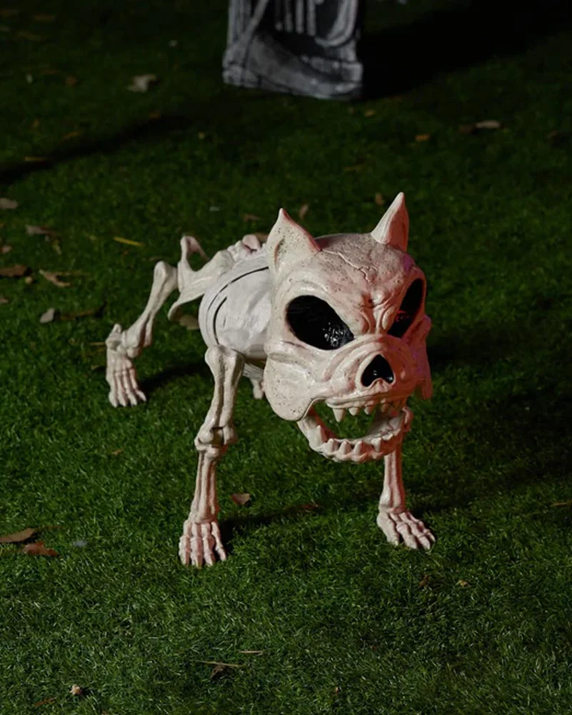 Halloween Poseable Dog Skeleton 40cm - Image 3