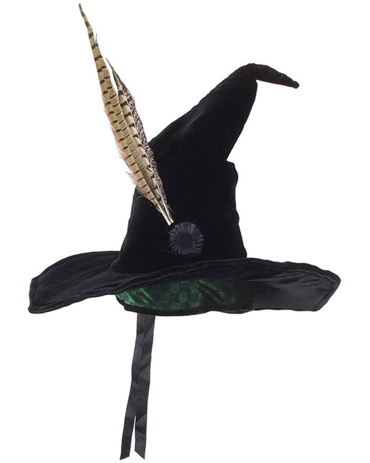 Harry Potter Deluxe Professor McGonagall Book Week Hat
