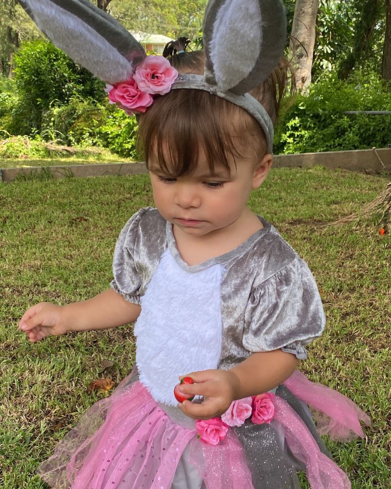 Honey Bunny Girls Toddler Costume - Image 4