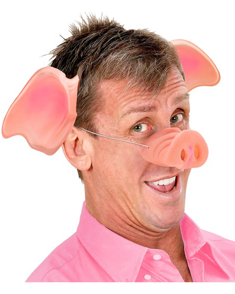 House Elf Ears - Image 4