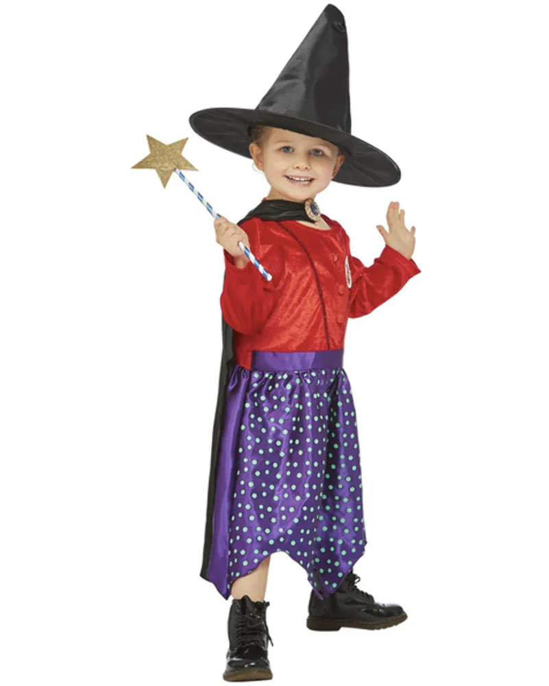 Julia Donaldson Room On The Broom Deluxe Kids Book Week Costume