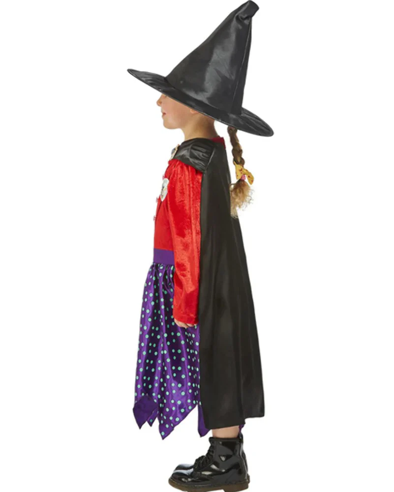 Julia Donaldson Room On The Broom Deluxe Toddler Girls Costume - Image 2