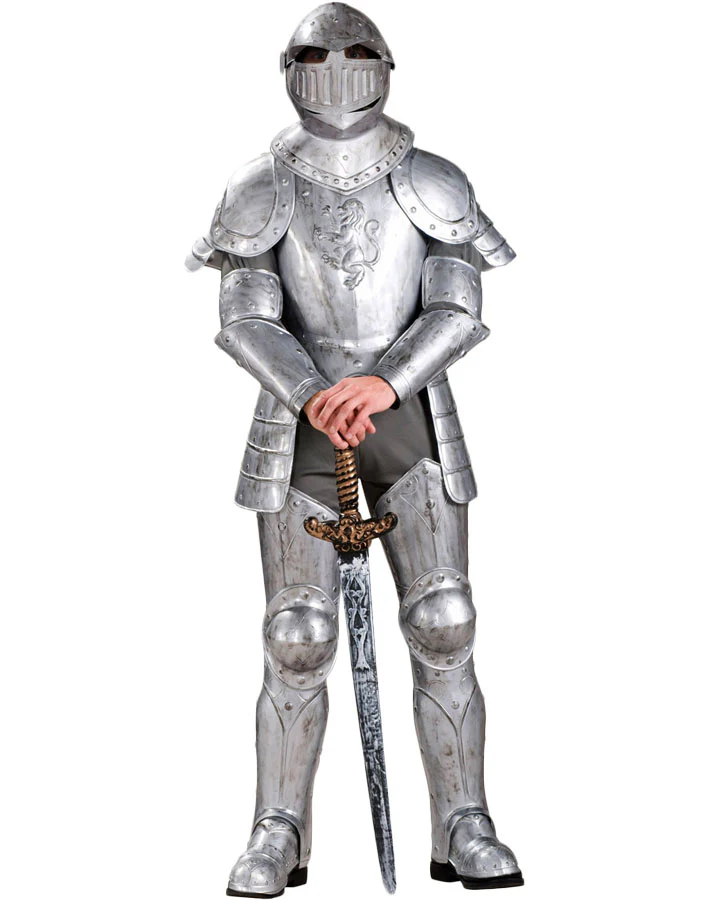 Knight in Shining Armour Mens Book Week Costume