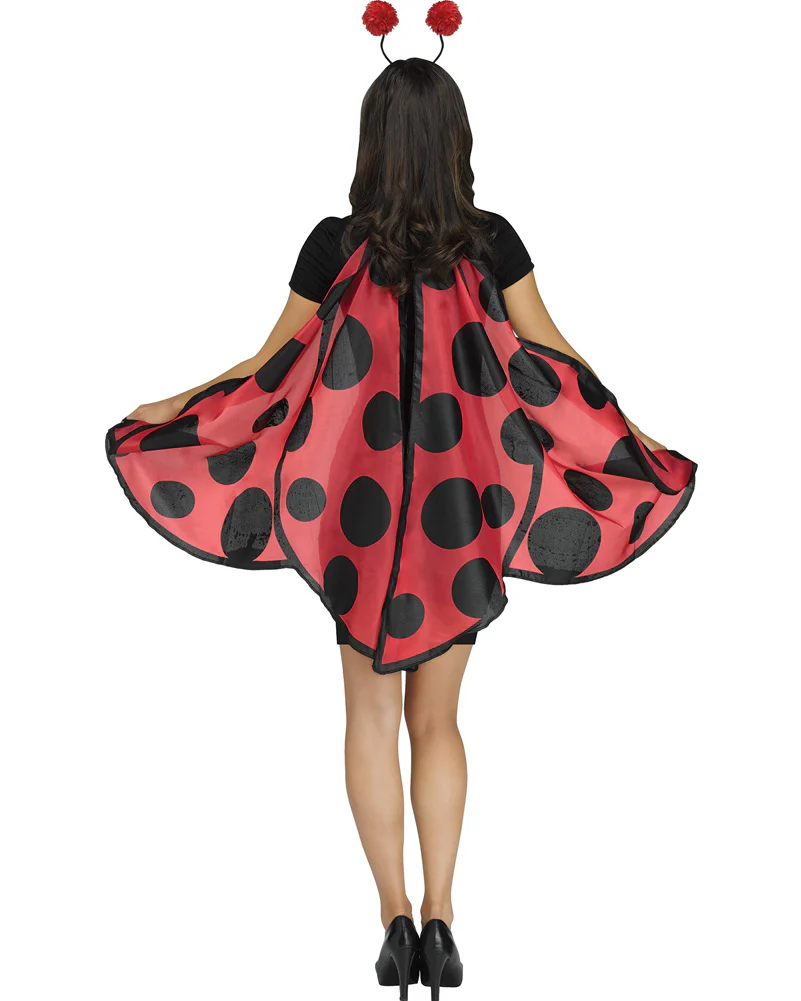 Ladybug Soft Wing Set - Image 2