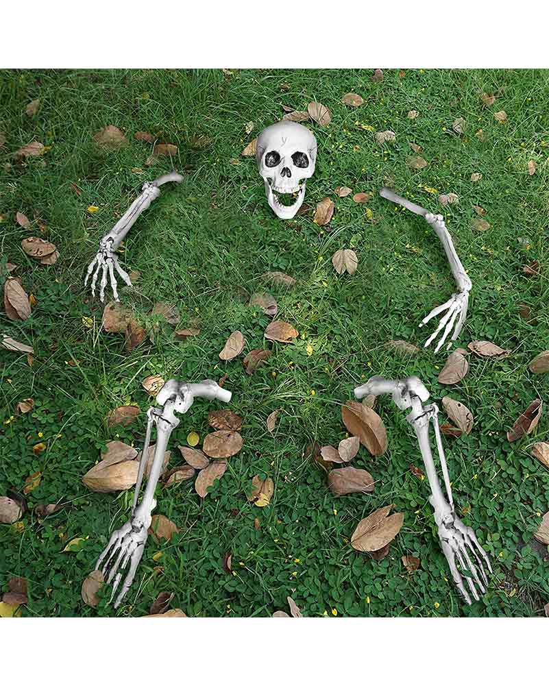 Life Size Skeleton Stakes Groundbreaker - Image 3