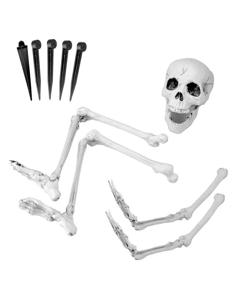 Life Size Skeleton Stakes Groundbreaker - Image 5