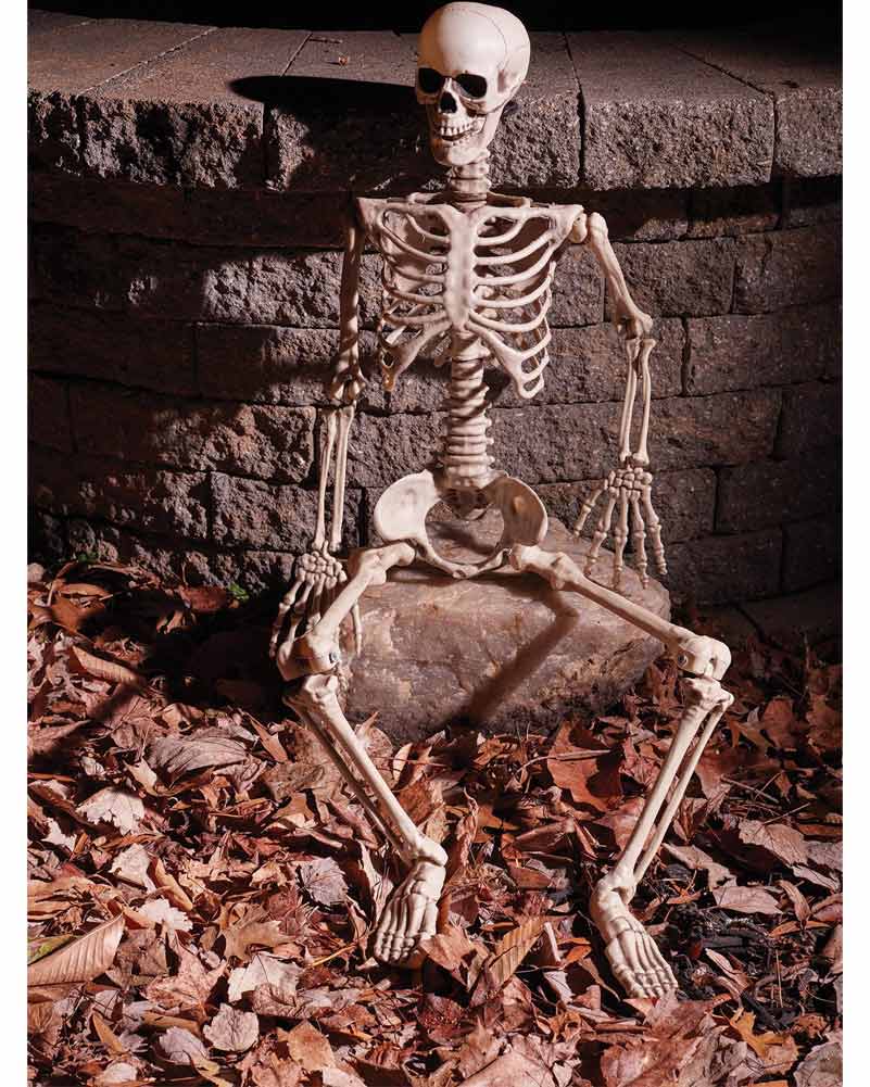 Little Mate Posable Skeleton Prop 90cm - Image 2
