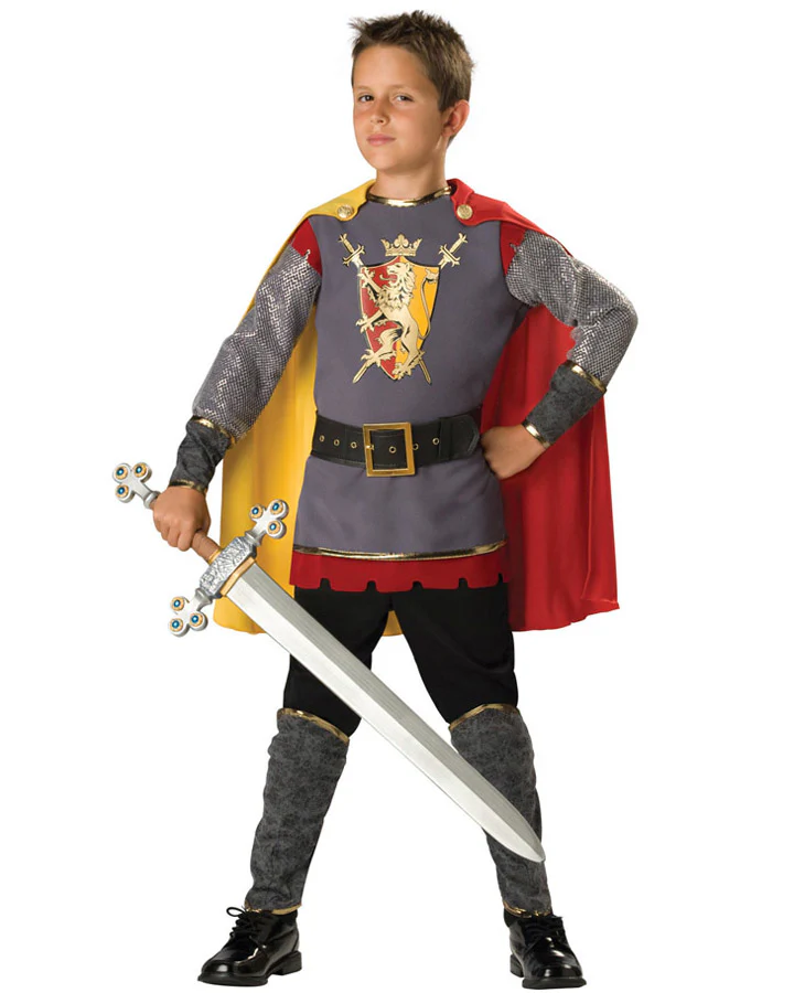 Loyal Knight Boys Book Week Costume