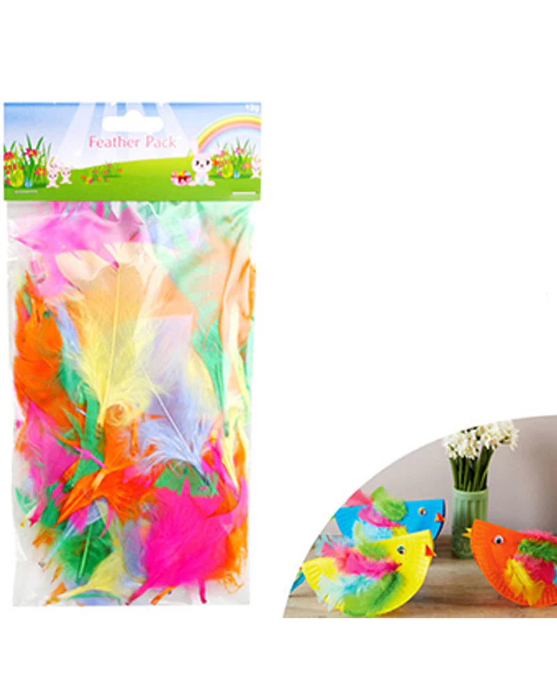 Multi Coloured Feather Pack 12g - Image 2
