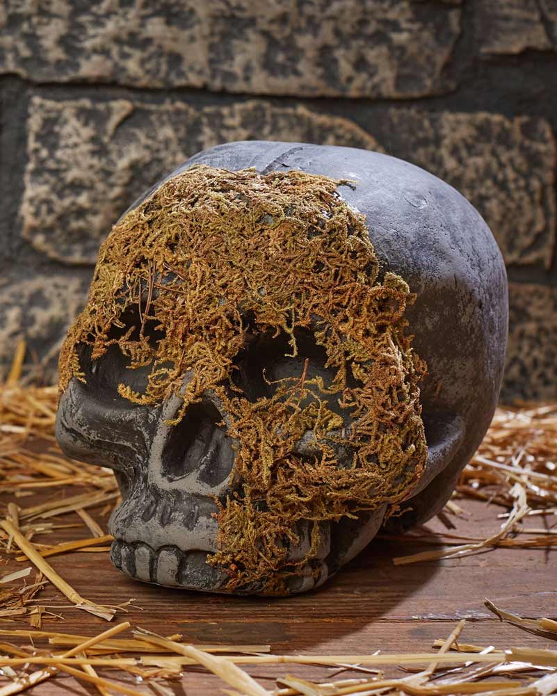 No Jaw Moss Covered Skull - Image 2