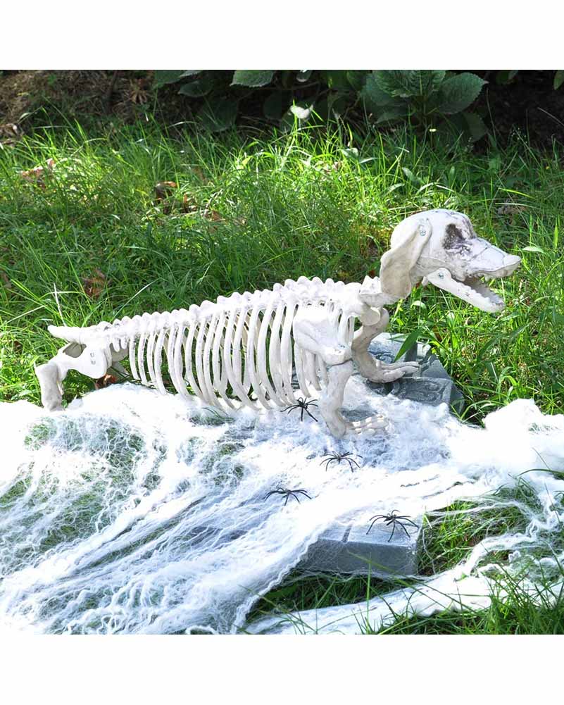 Pose N Stay Wiener Dog Skeleton - Image 4