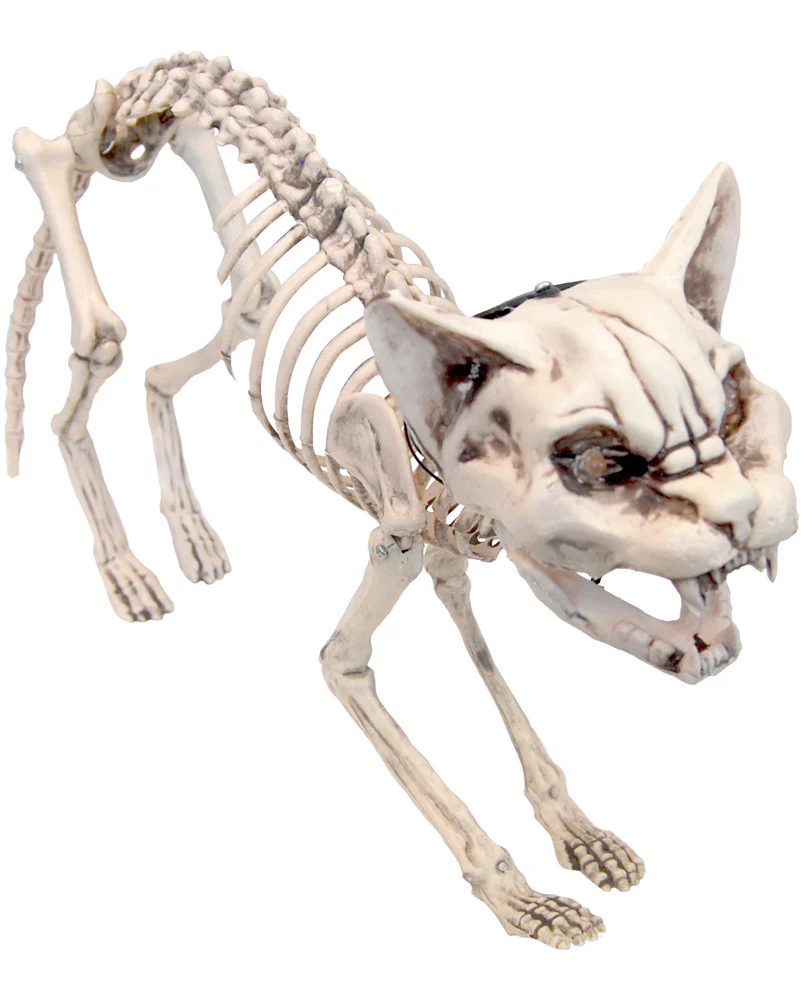 Screaming Skeleton Cat With Light Up Eyes