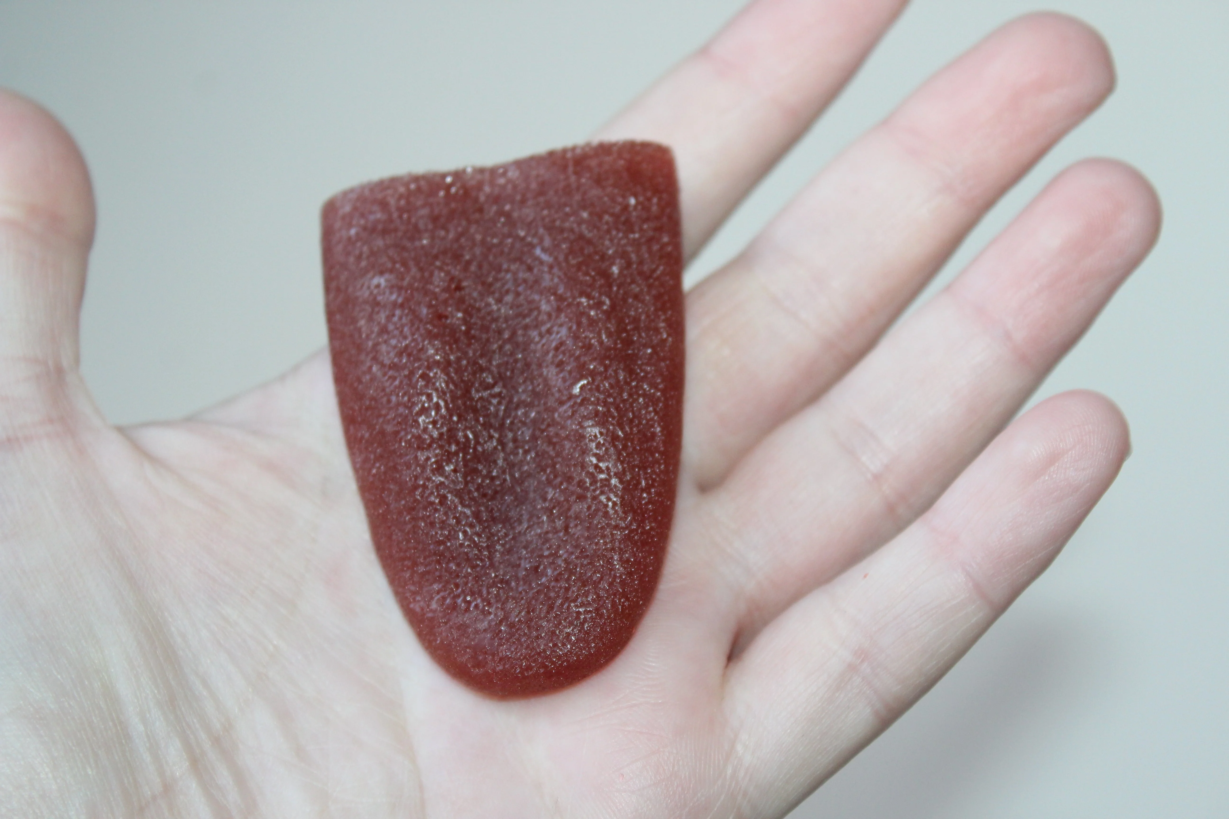 Severed Tongue Prop - Image 17