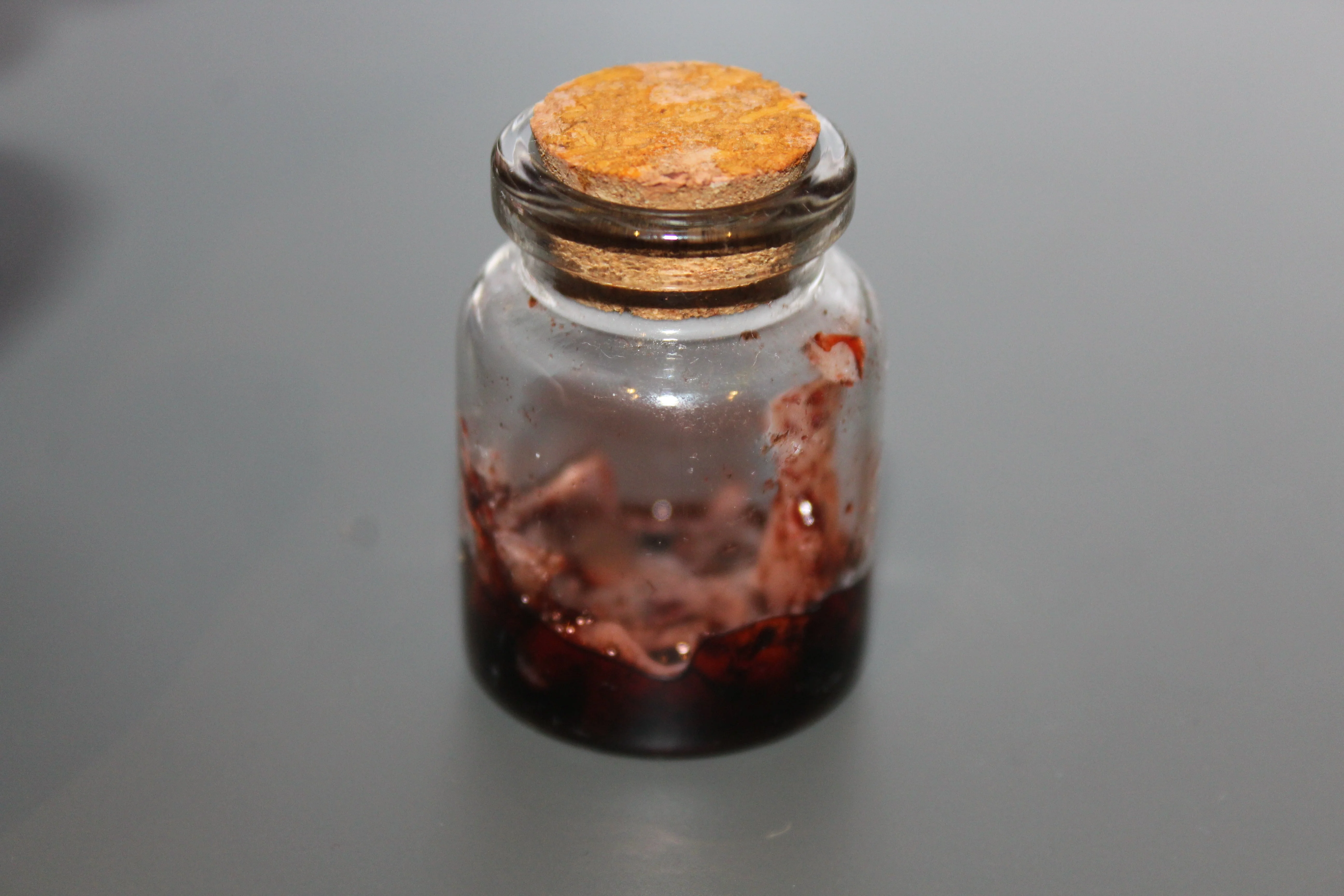 Simulated Antique Flesh Specimen Jar - Image 3