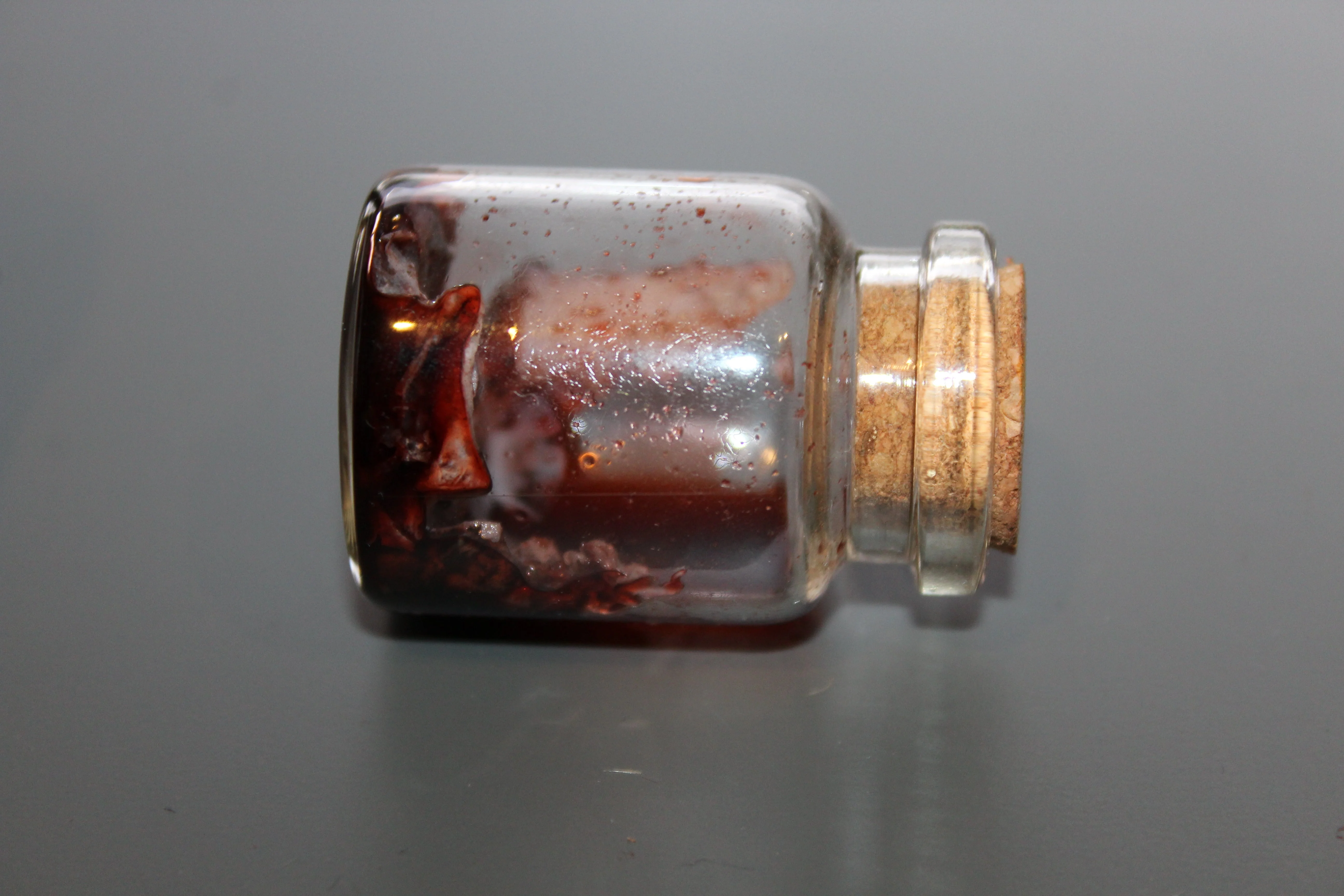 Simulated Antique Flesh Specimen Jar - Image 4
