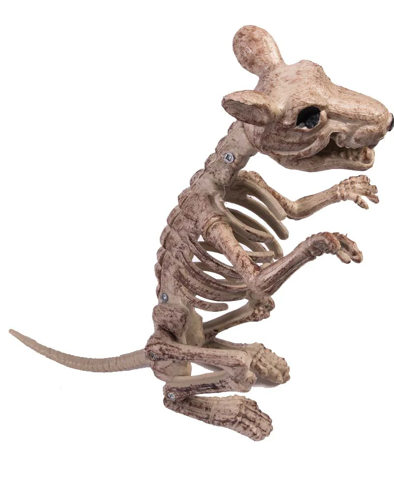 Skeleton Rat Prop