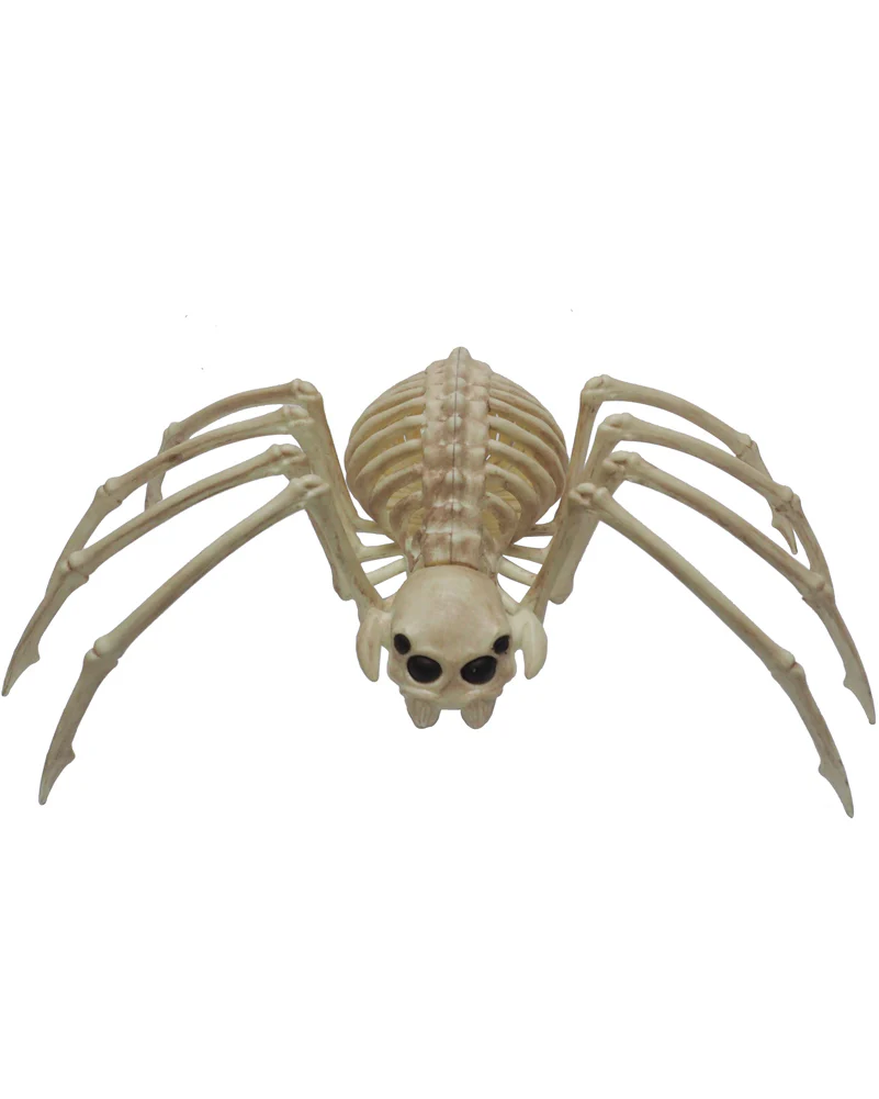 Skeleton Wolf Spider 37cm