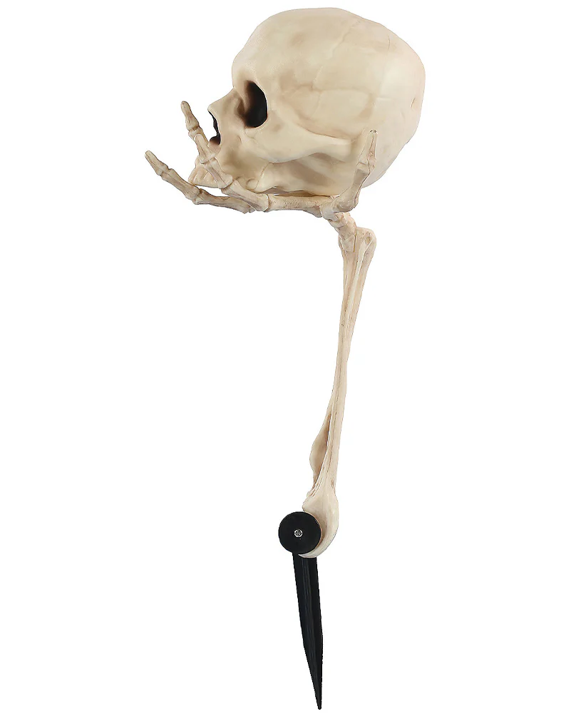 Skull in Hand Groundbreaker 36cm - Image 3