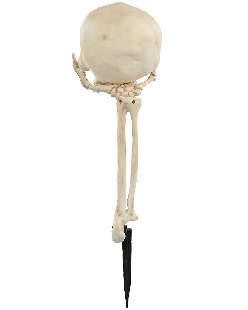 Skull in Hand Groundbreaker 36cm - Image 4