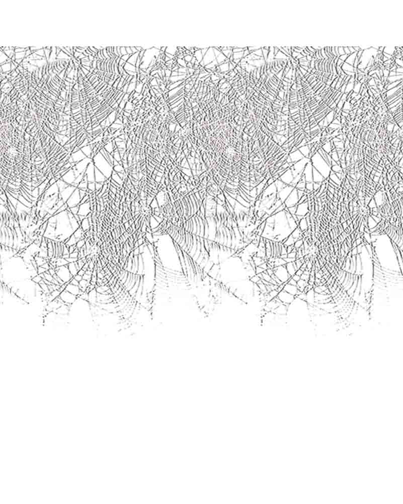 Spider Web Border 7.3m
