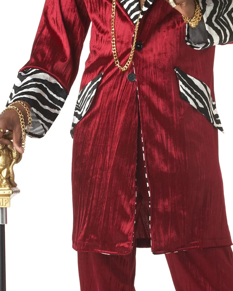 Sweet Daddy Beaujolais Mens Costume - Image 3