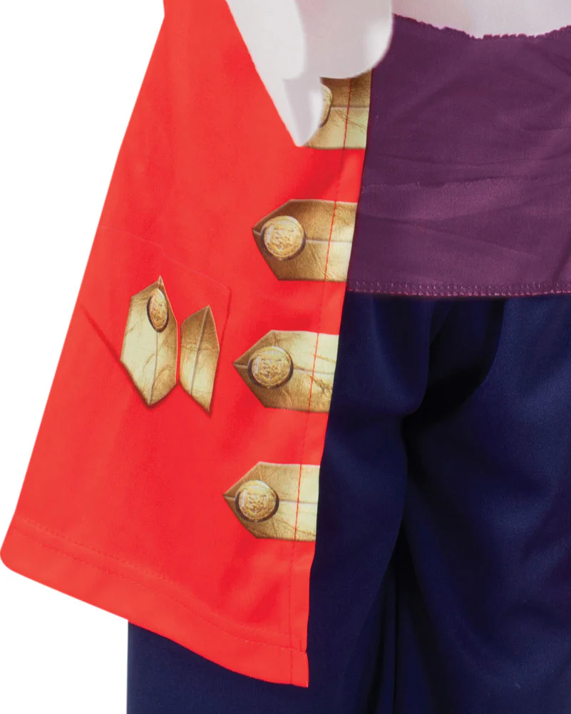 The Wiggles Captain Feathersword Toddler and Boys Costume - Image 3