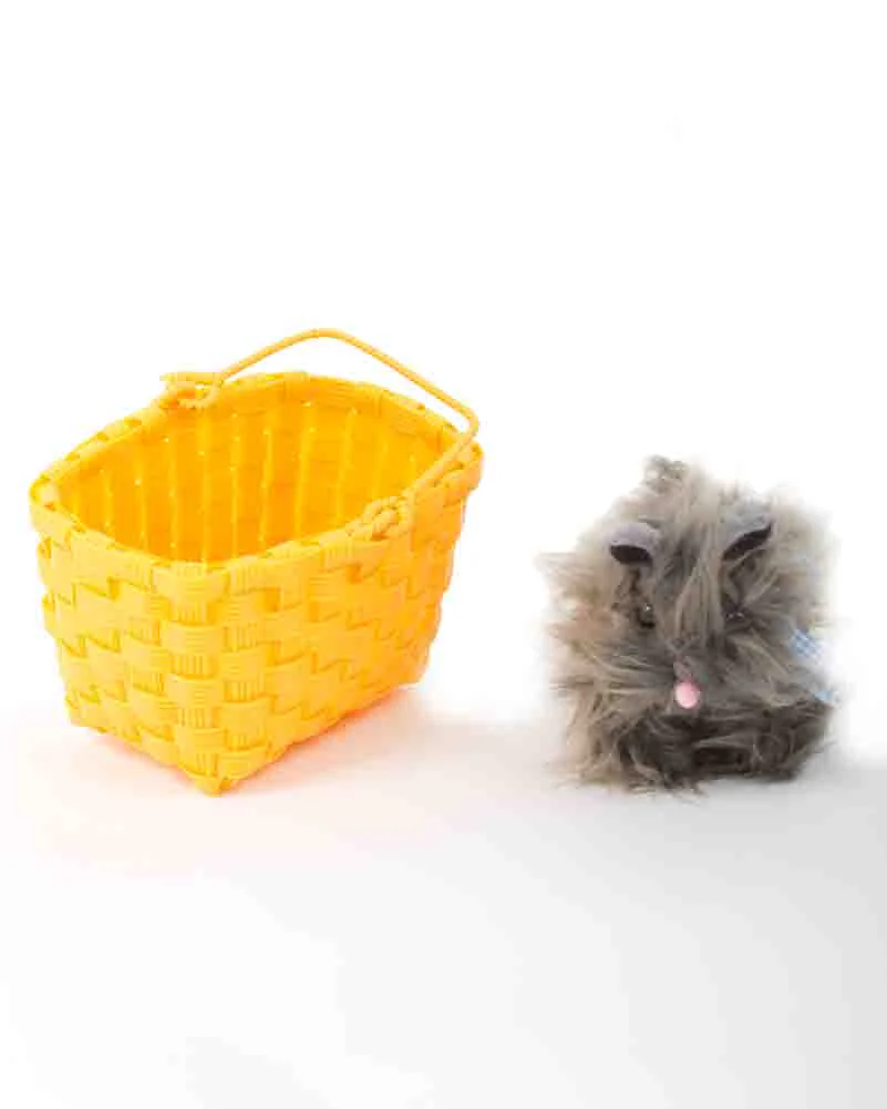 The Wizard of Oz Toto in the Basket - Image 2