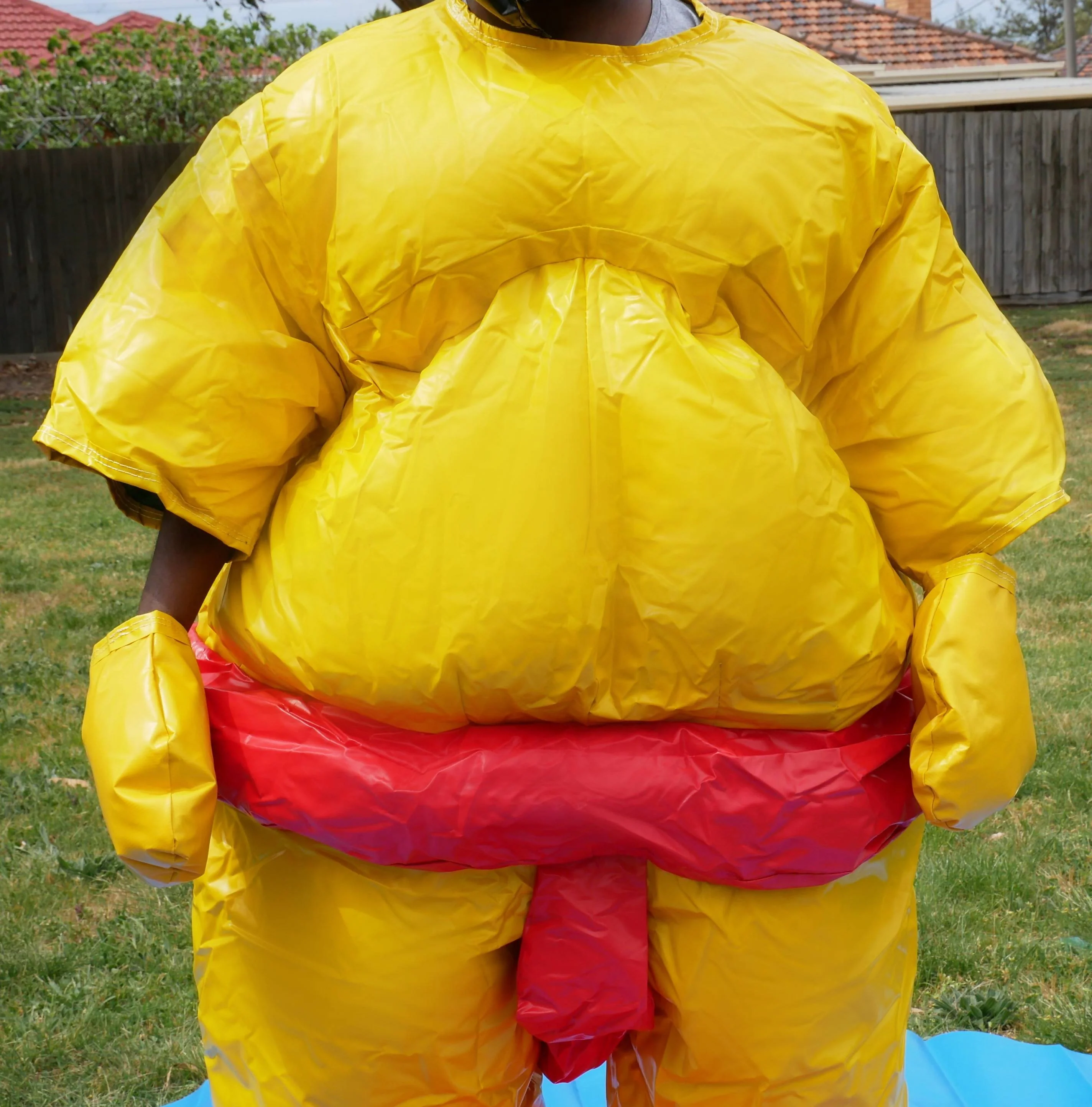 Two PVC and Fabric Adult Sumo Suits with Helmets Gloves and 291cm Mat - Image 5