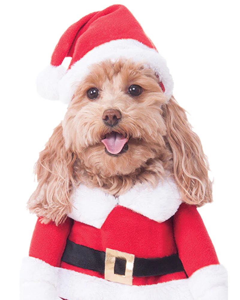 Walking Santa Deluxe Pet Christmas Costume - Image 2